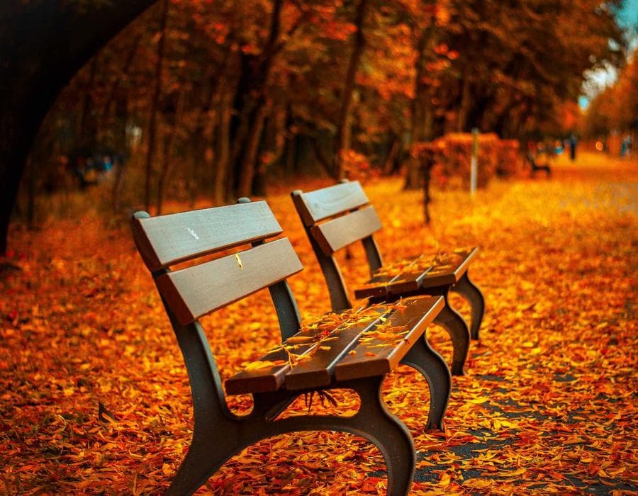 মুচমুচে স্ন্যাক মিক্স 1