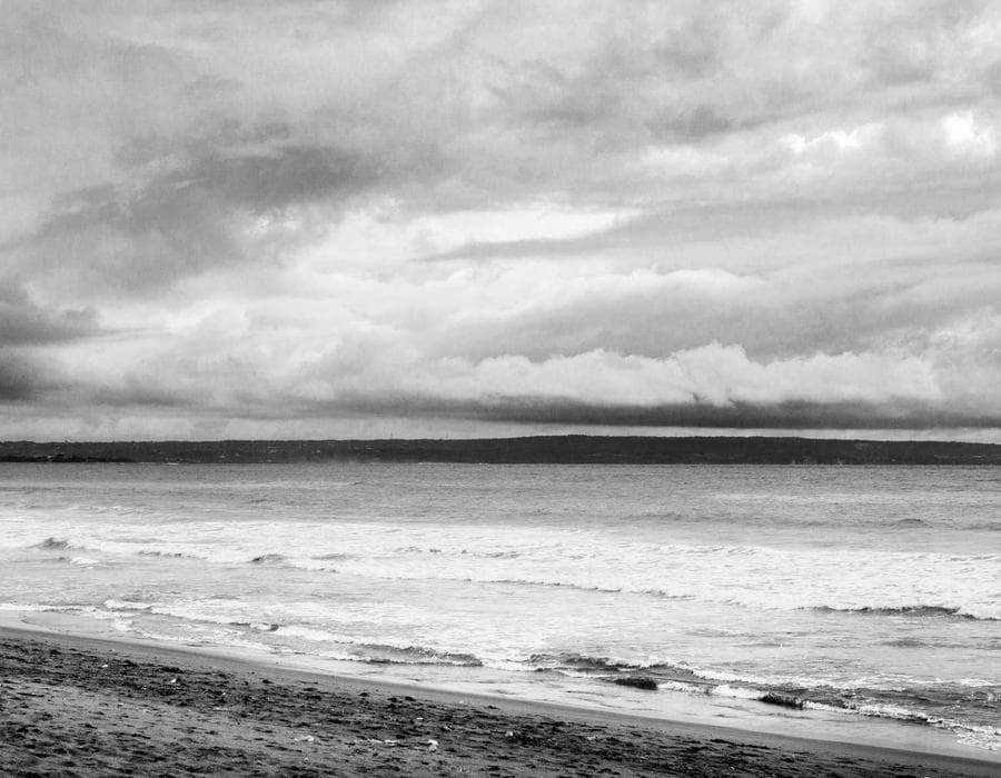 রাজকীয় নুডল কাপ 15