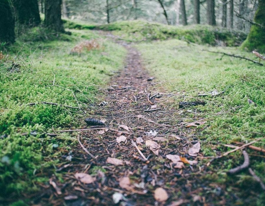 ফুটপাত স্টাইল নুডল কাপ 16