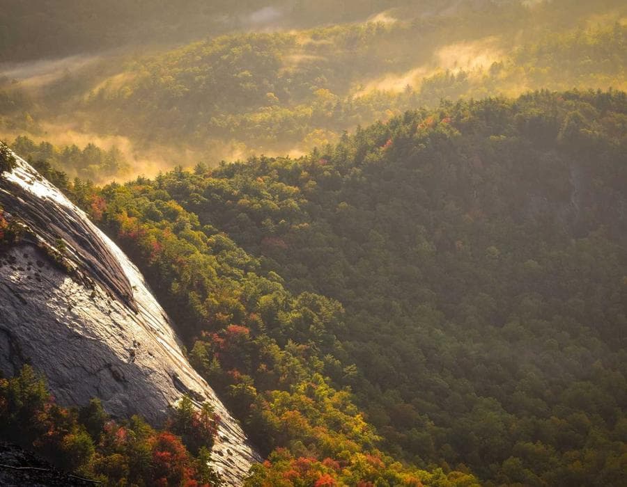 মুচমুচে বিস্কুট বক্স 21