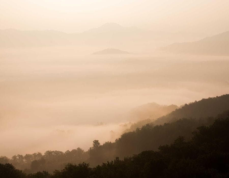 ধোঁয়া চা ব্লেন্ড 32