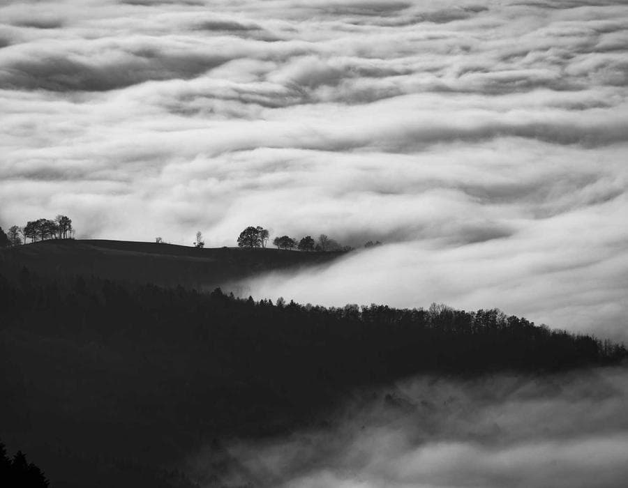 মরিচ শরবত সিরাপ 78