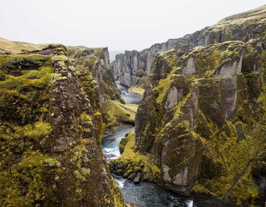 ফুটপাত স্টাইল মসলার কৌটা 86