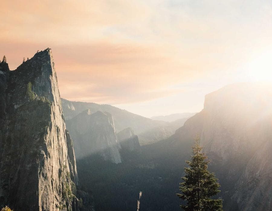 মরিচ মসলার কৌটা 88